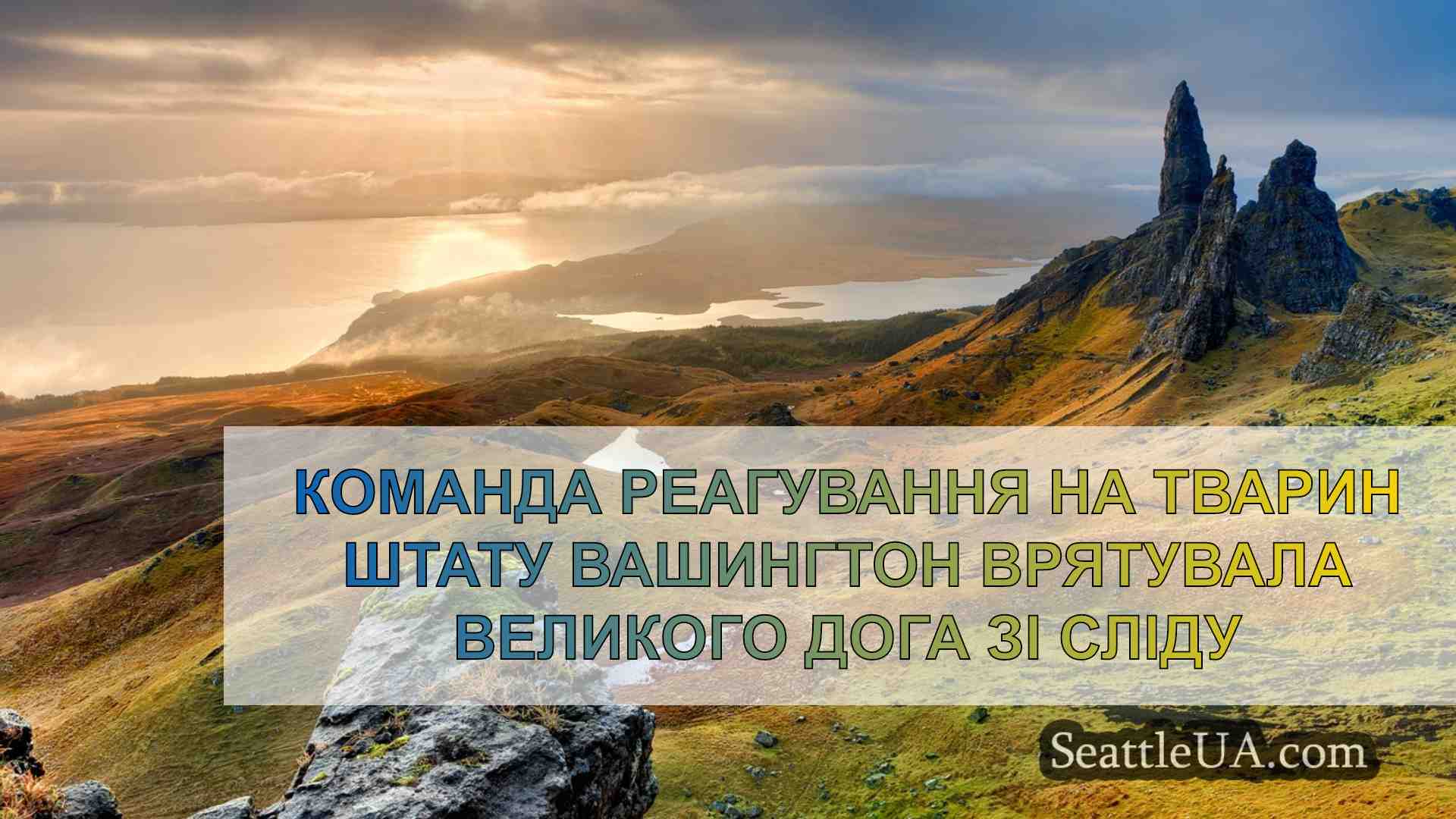 Новини Сіетла SeattleUA
