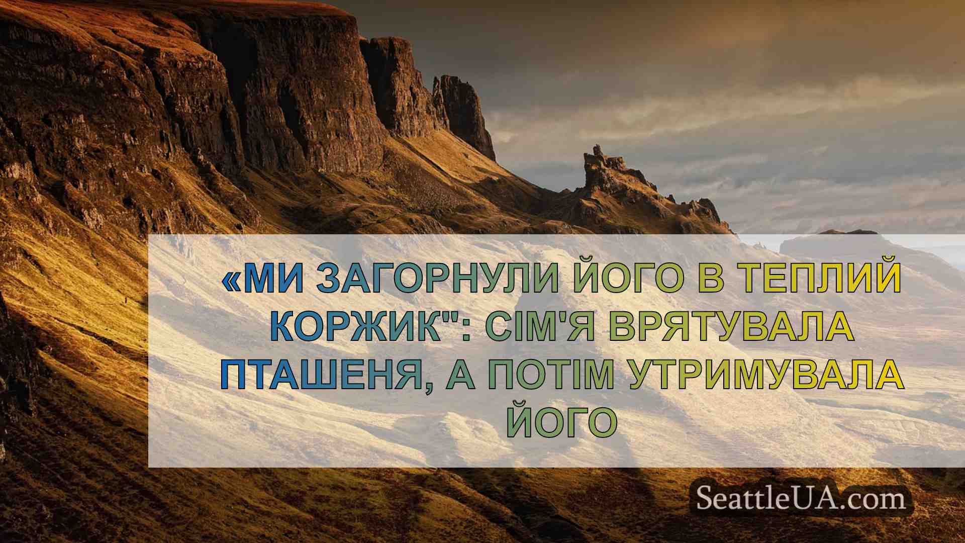Новини Сіетла SeattleUA