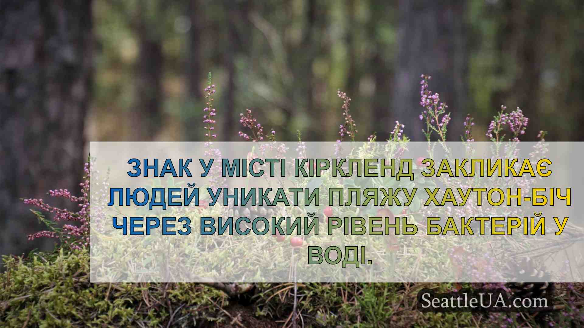 Новини Сіетла SeattleUA