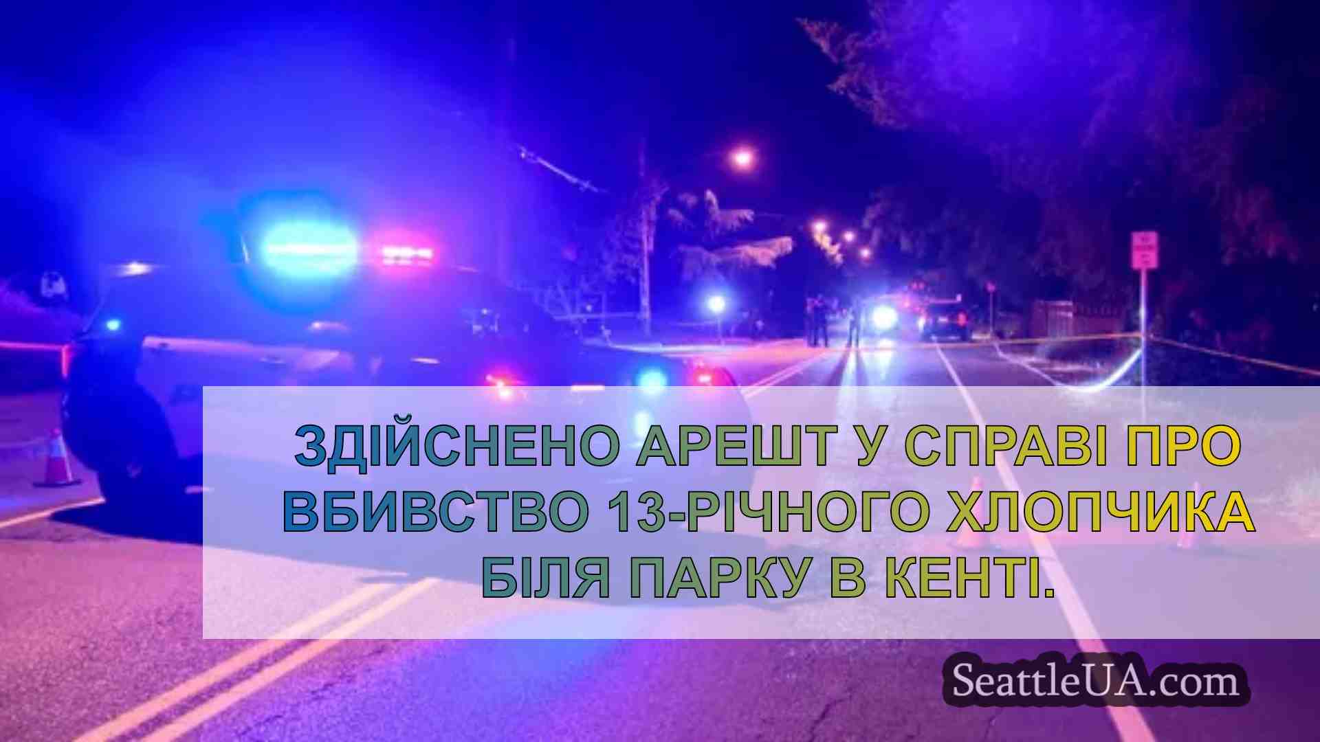 Заарештовано підозрюваного у стрілянині