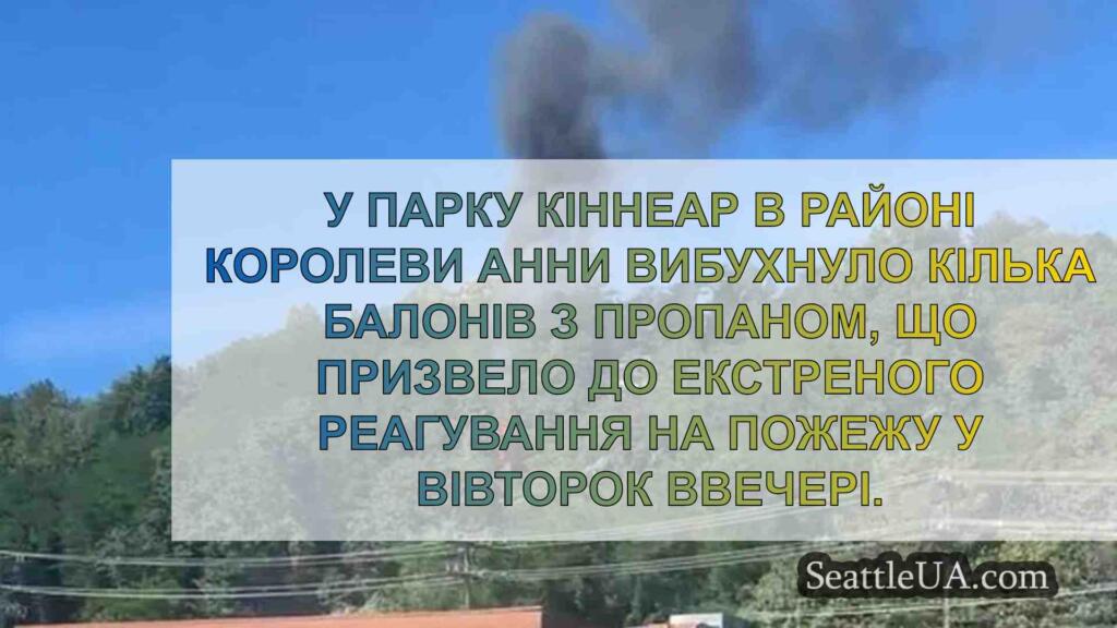 «Кілька» балонів з пропаном вибухнули