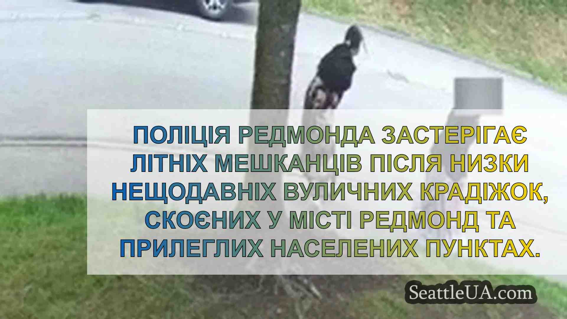 Серія вуличних крадіжок у Редмонді,