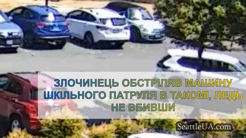 Злочинець обстріляв машину шкільного
