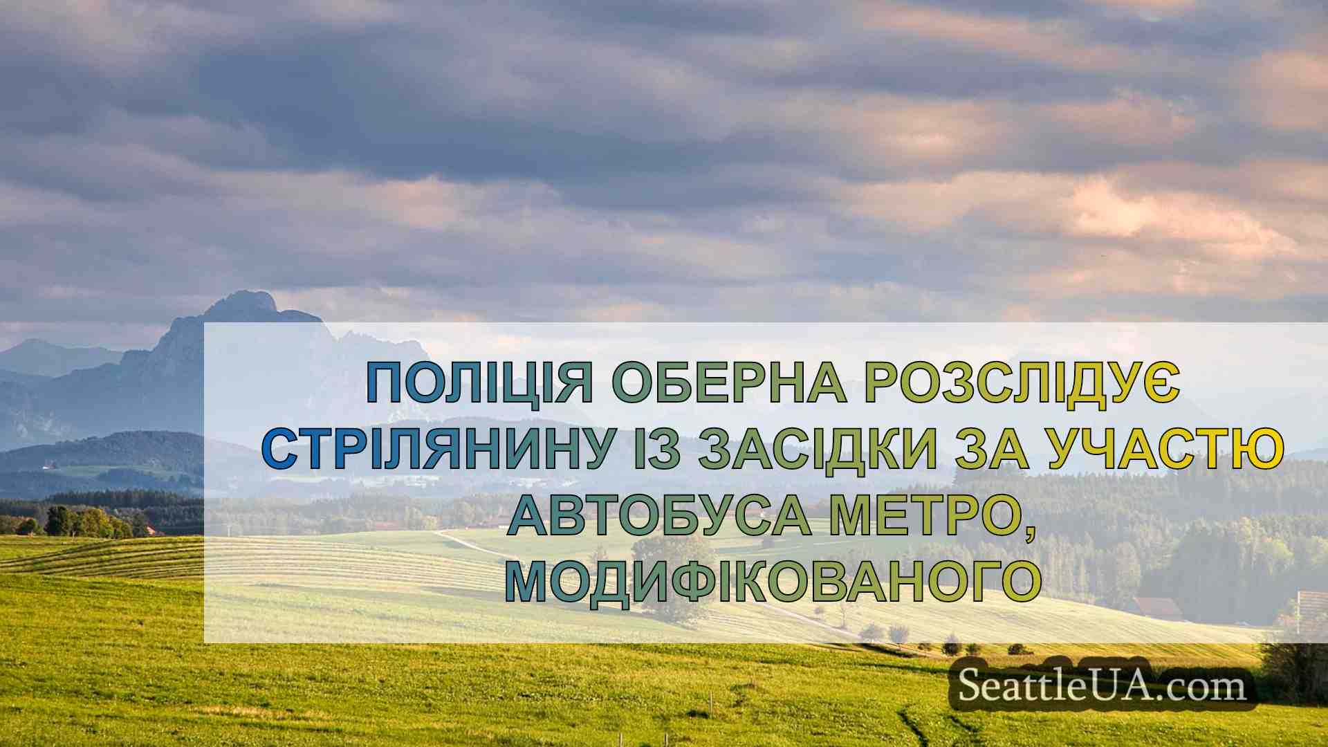 Поліція Оберна розслідує стрілянину із