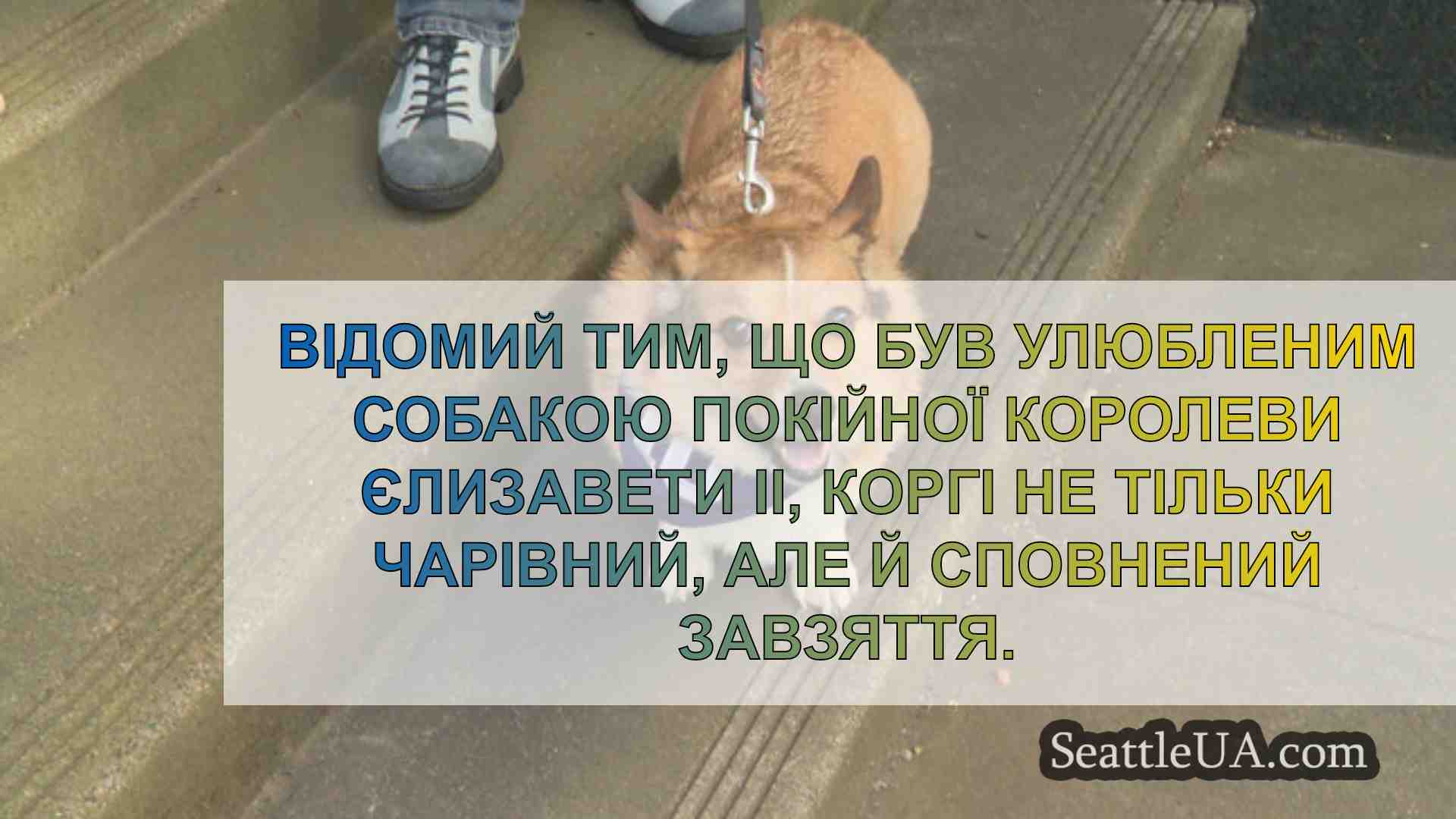 Новини Сіетла SeattleUA