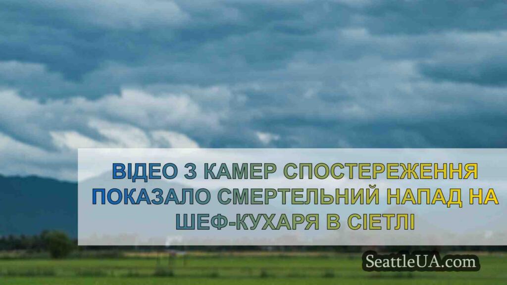 Відео з камер спостереження показало