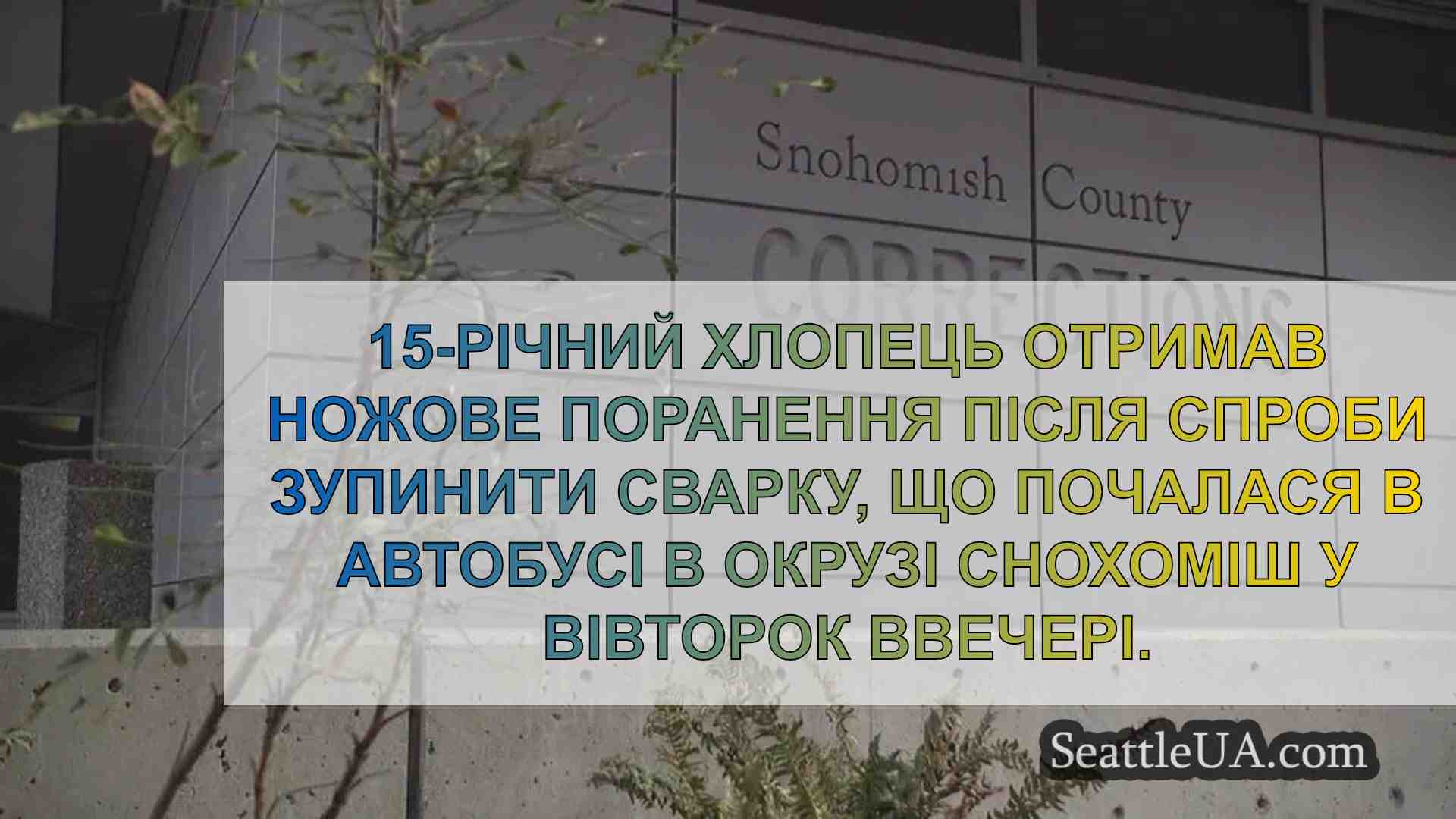 15-річний підліток отримав ножове