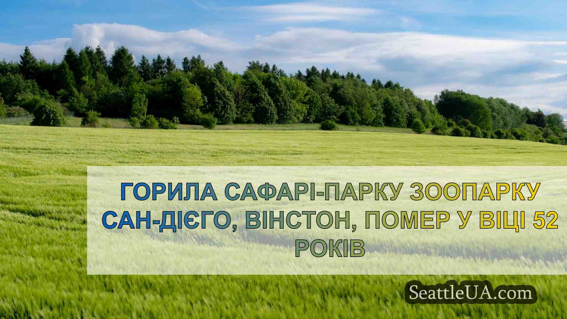 Новини Сіетла SeattleUA