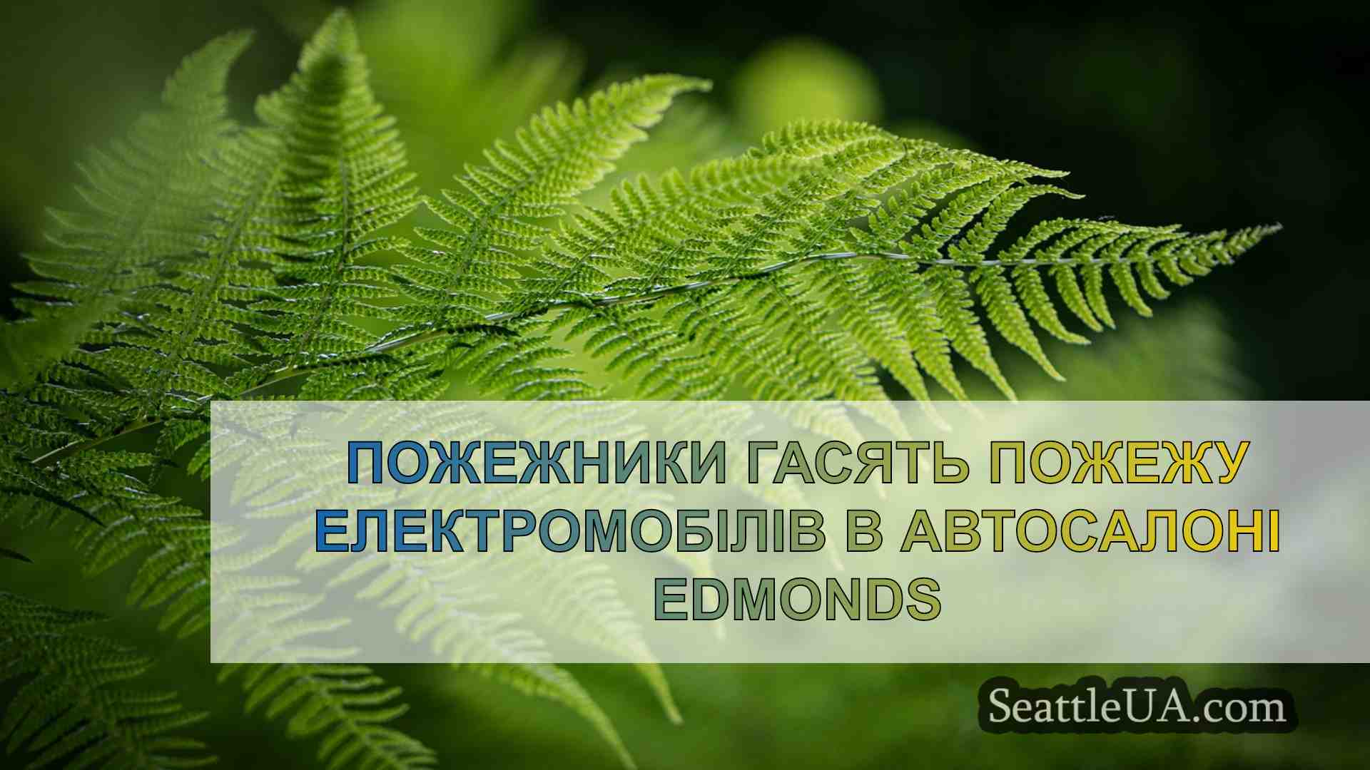 Новини Сіетла SeattleUA
