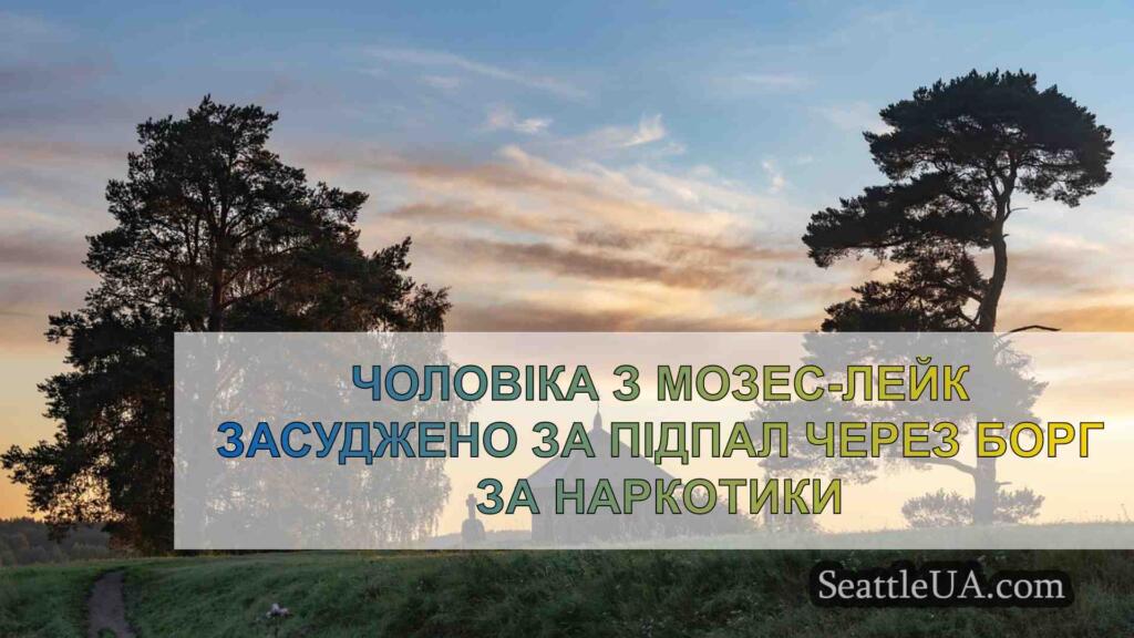 Чоловіка з Мозес-Лейк засуджено за