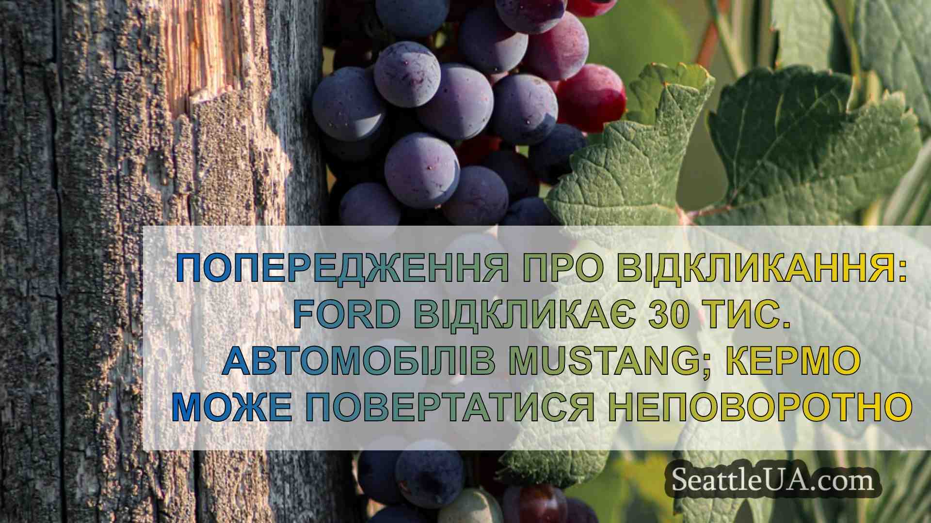 Новини Сіетла SeattleUA