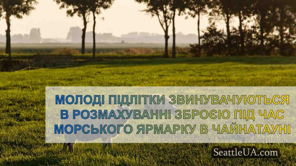 Підлітків звинуватили в розмахуванні
