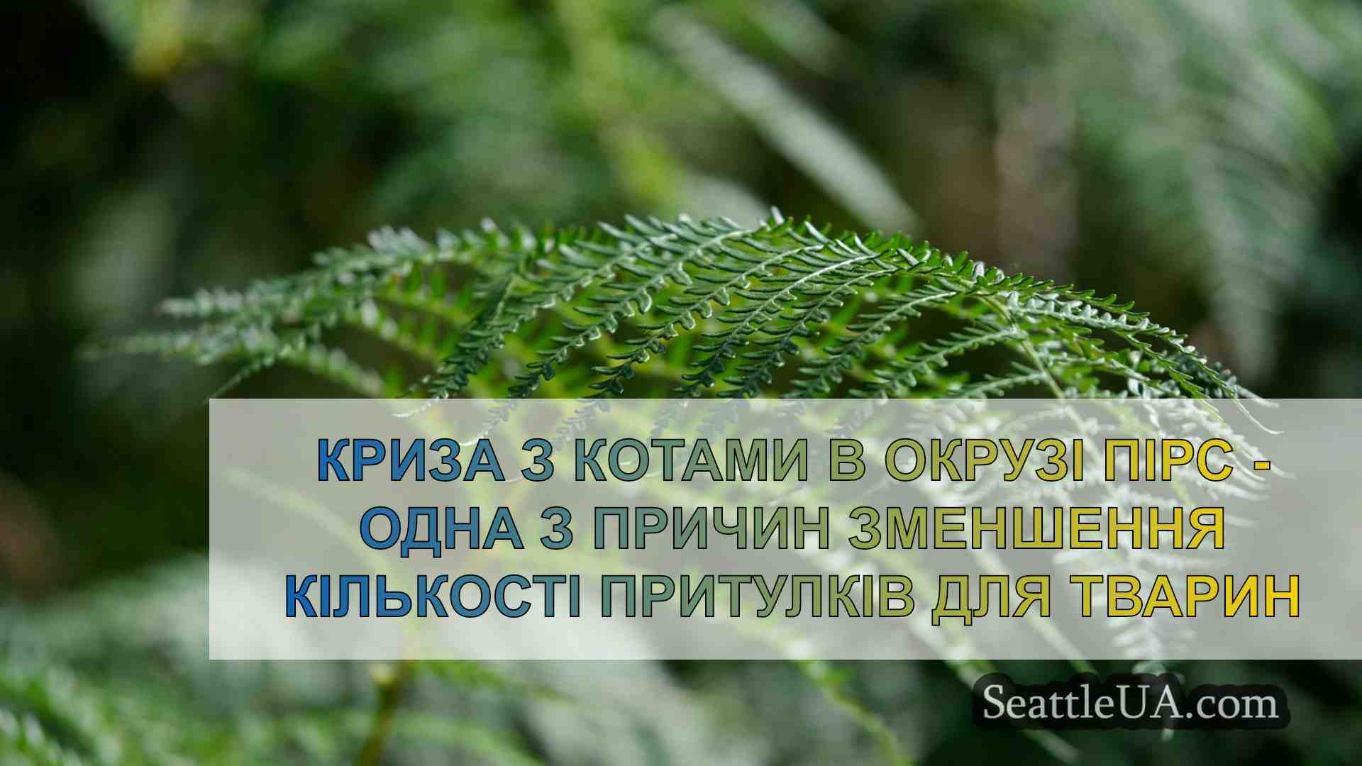 Новини Сіетла SeattleUA
