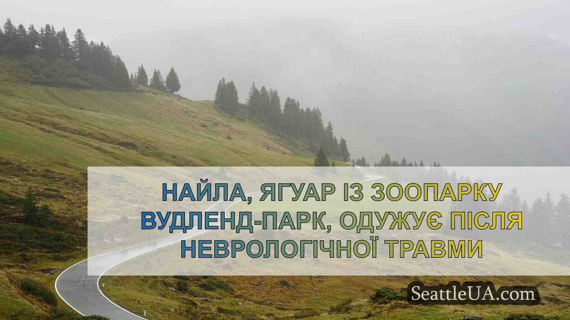 Новини Сіетла SeattleUA