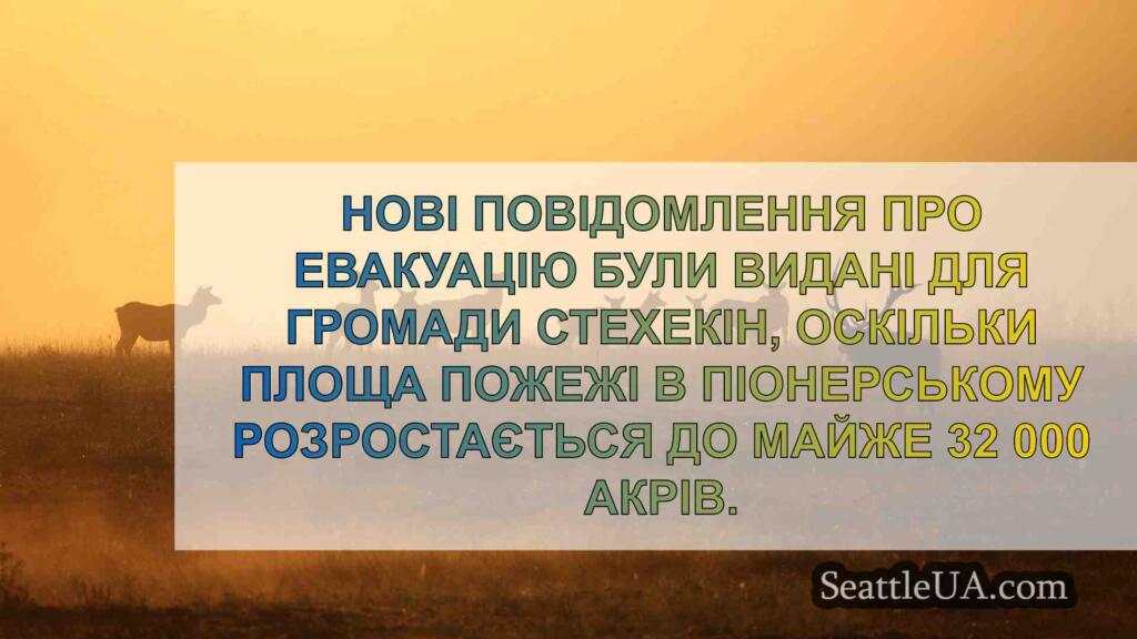 Чагарникові пожежі зростають у висохлих