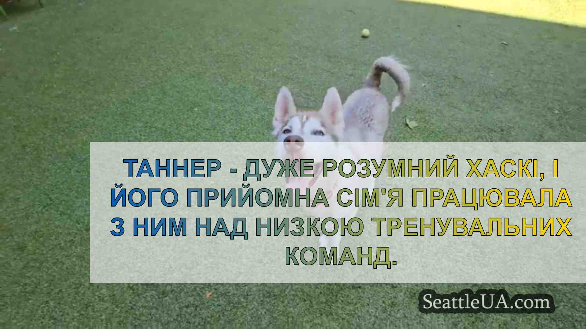 Новини Сіетла SeattleUA