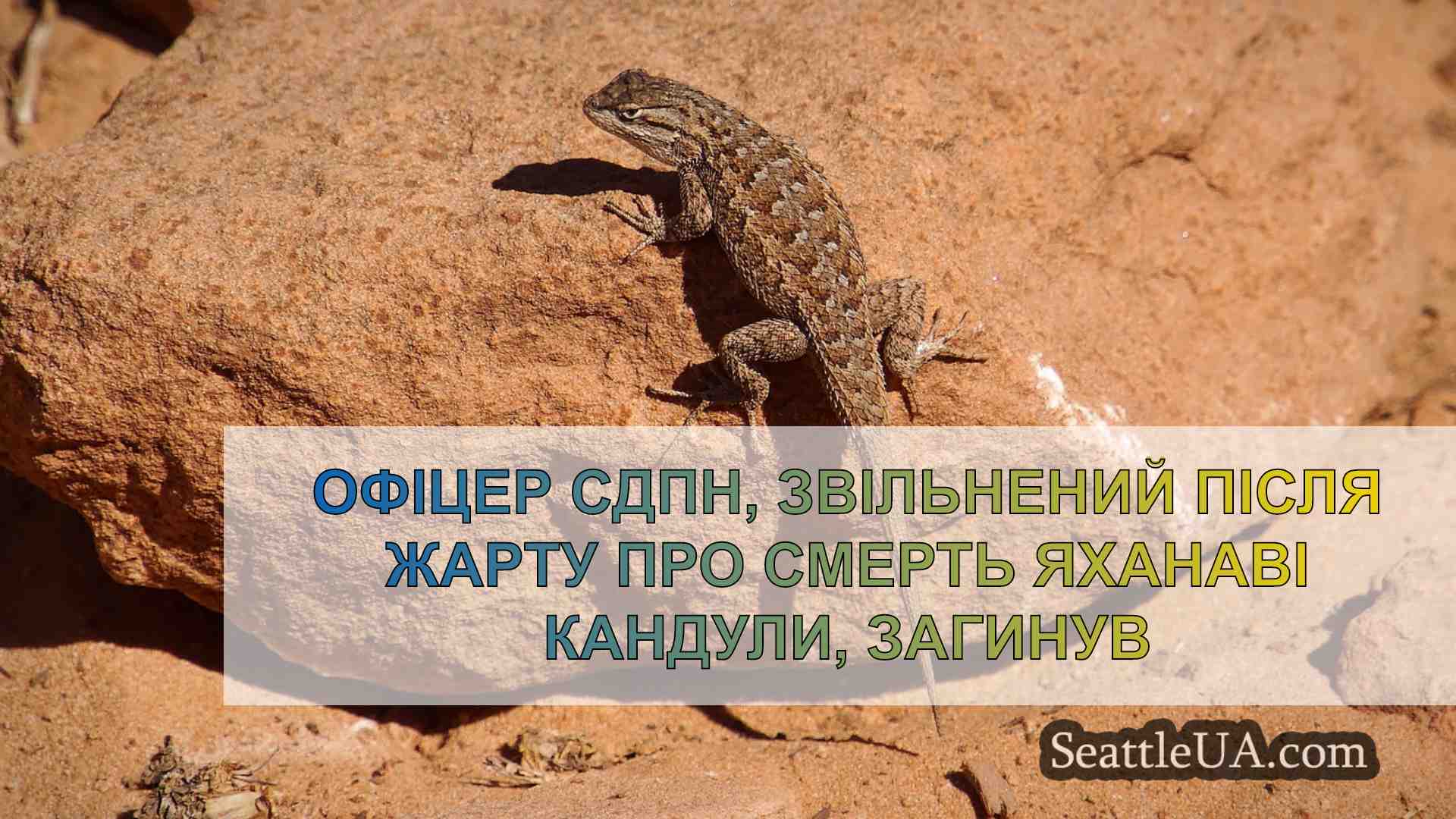 Новини Сіетла SeattleUA