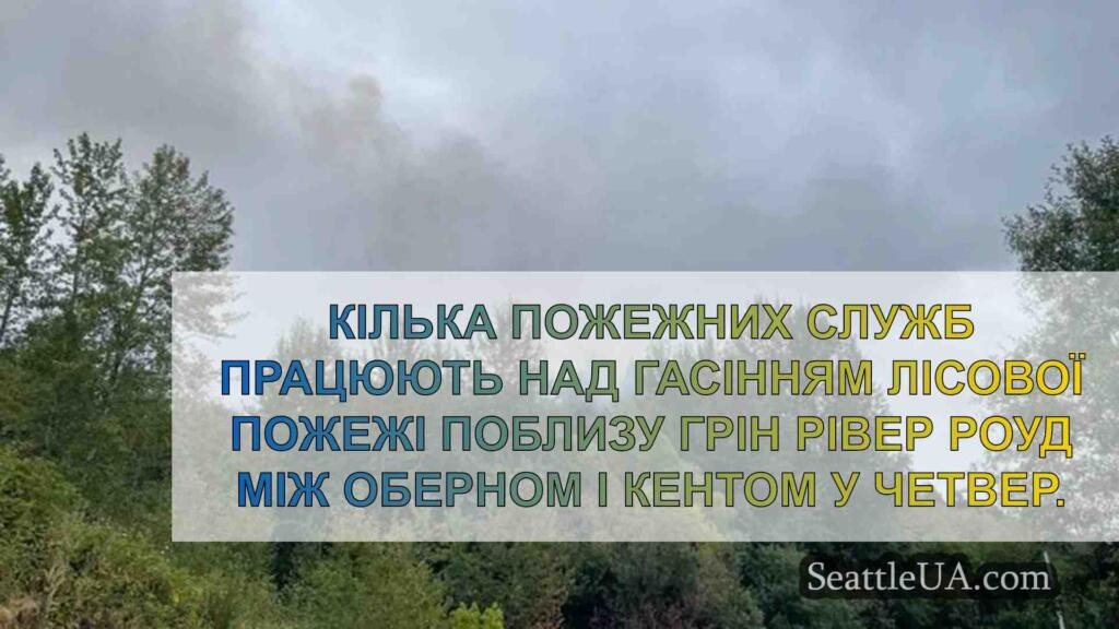 Кілька пожежних служб реагують на 3