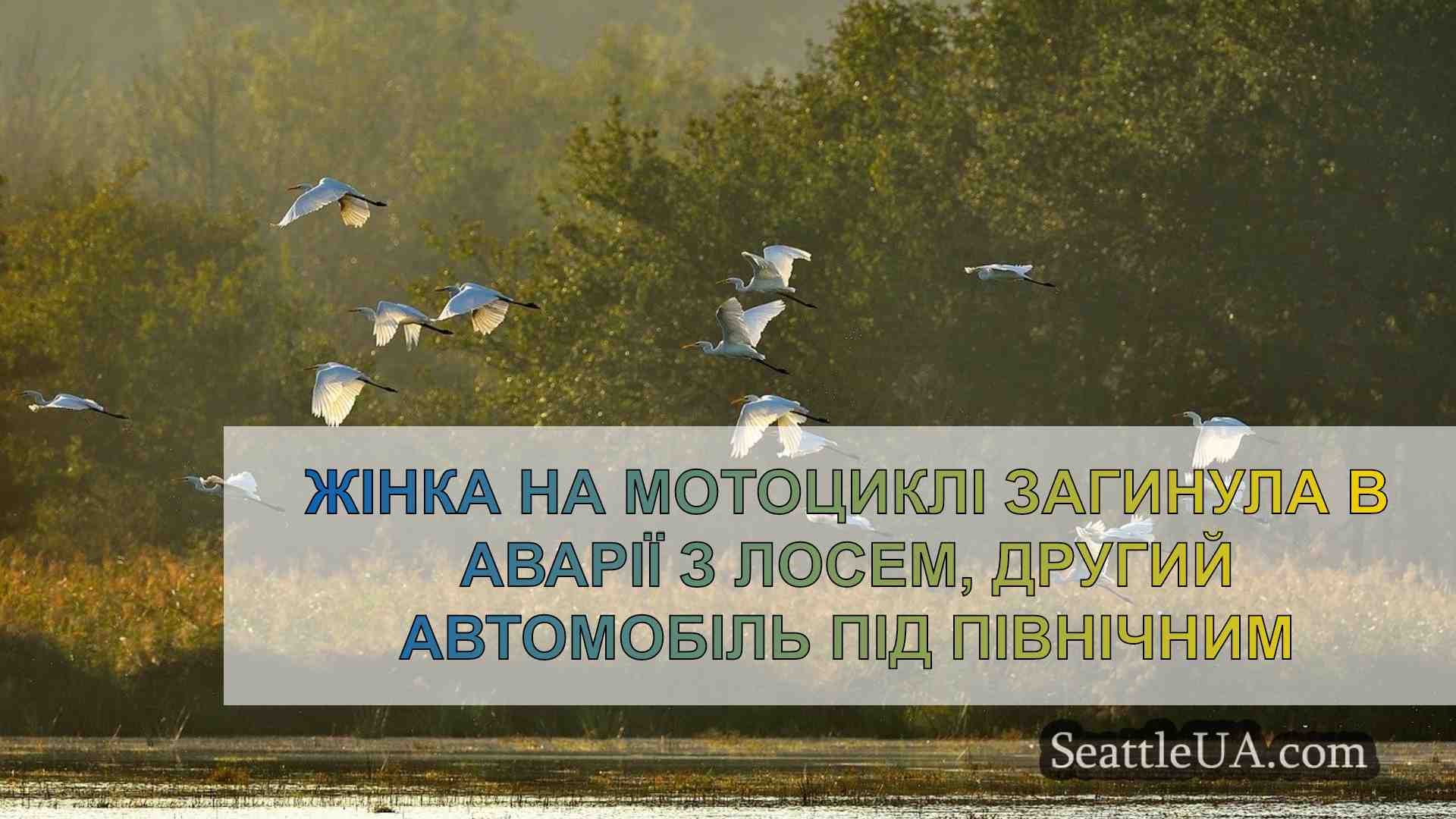 Новини Сіетла SeattleUA