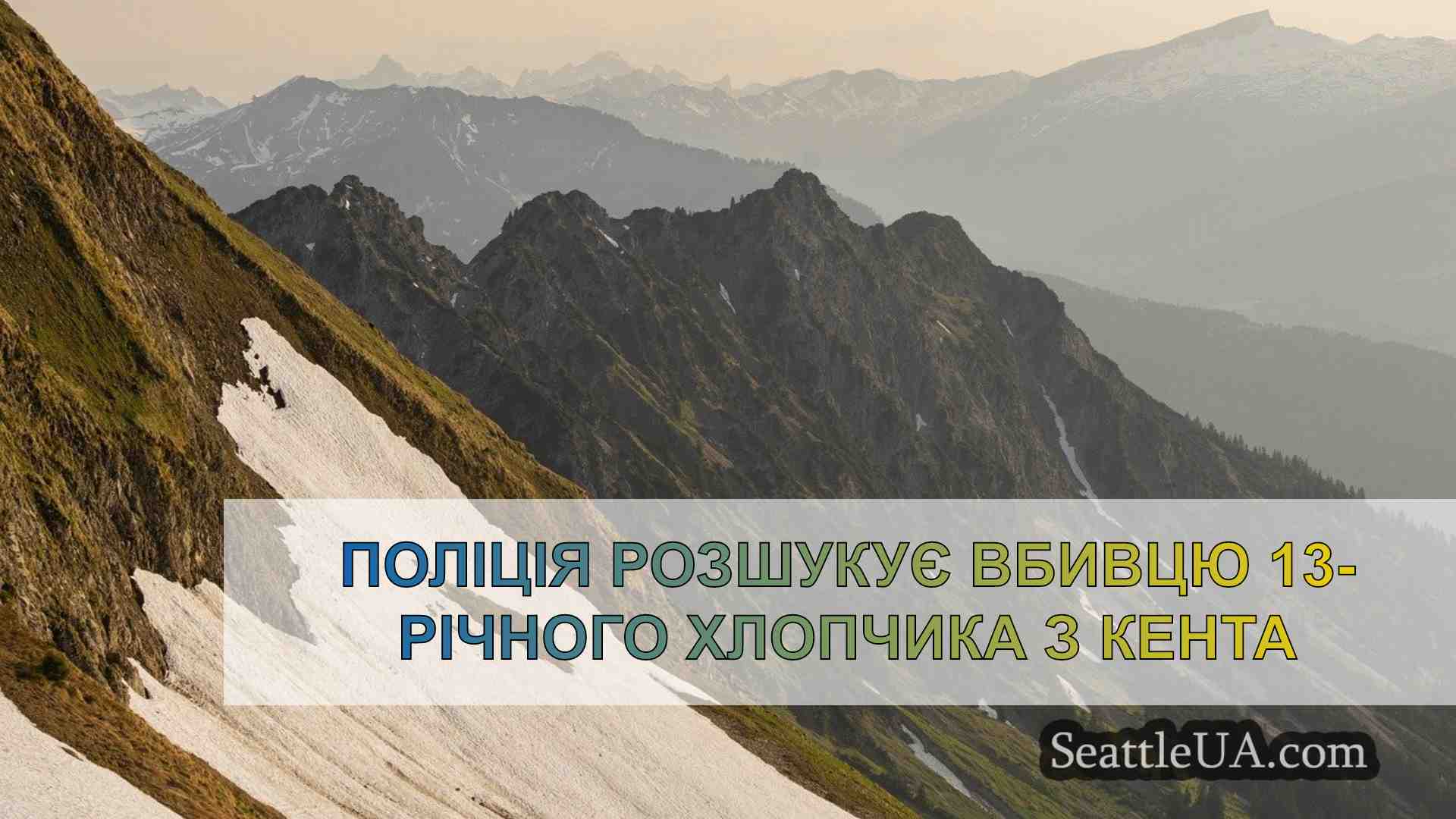 Поліція розшукує вбивцю 13-річного