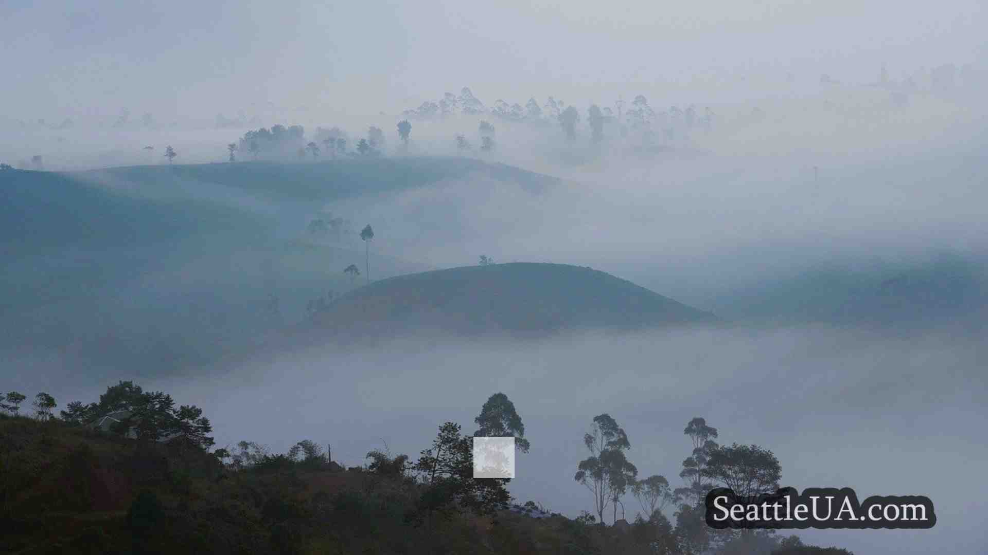 Новини Сіетла SeattleUA