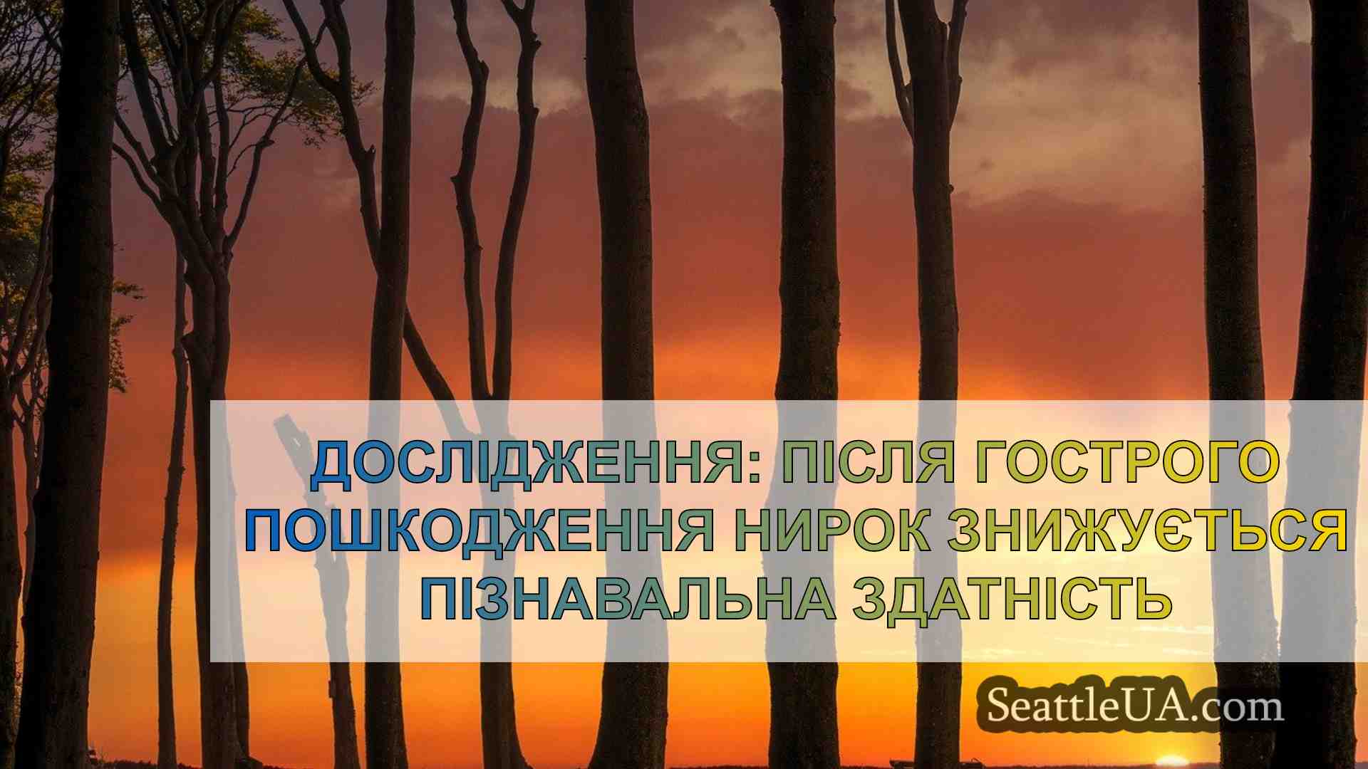 Новини Сіетла SeattleUA