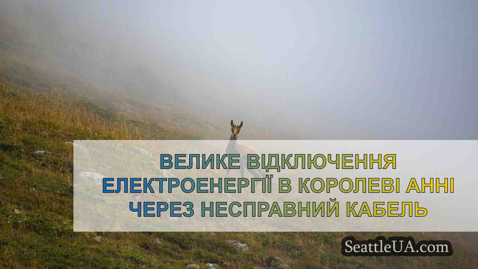 Новини Сіетла SeattleUA