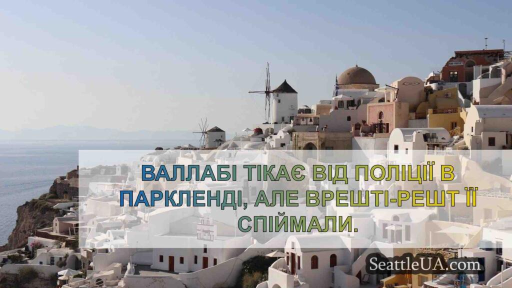 Валлабі тікає від поліції в Паркленді,