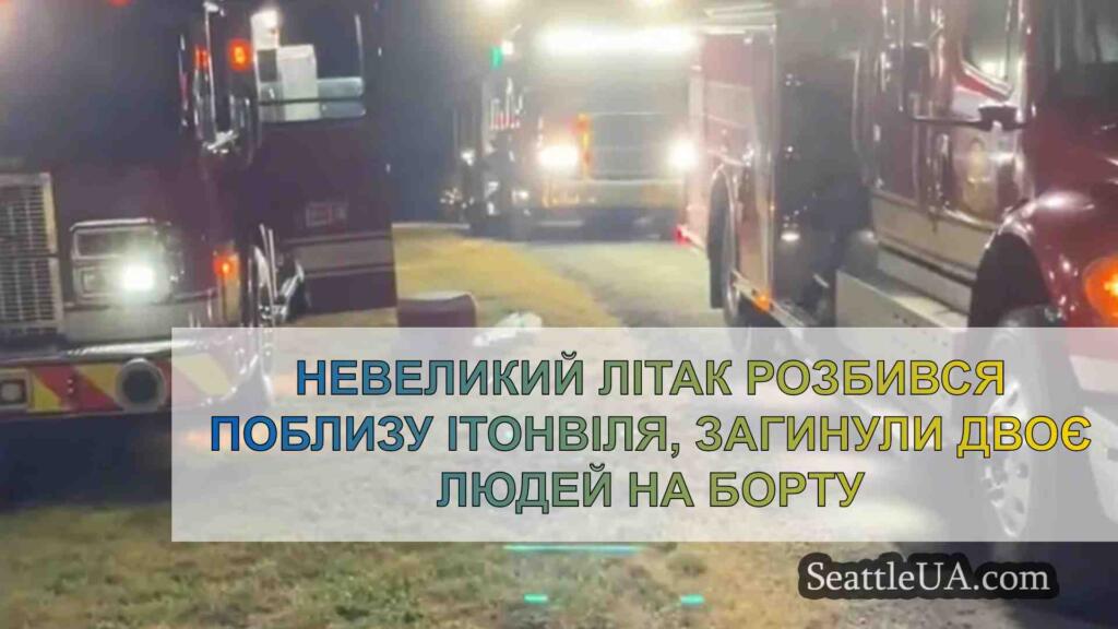 Невеликий літак розбився поблизу