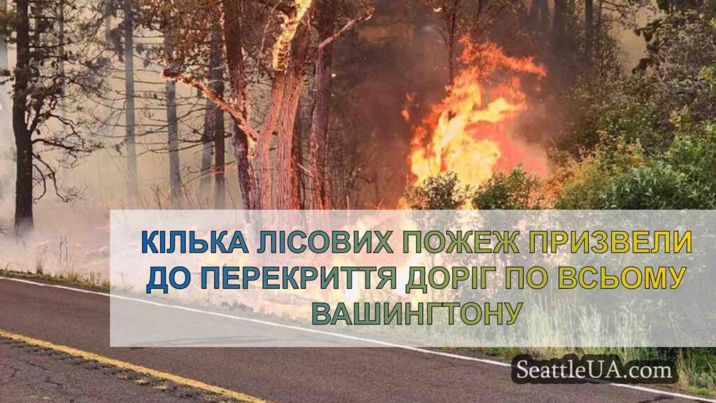 Кілька лісових пожеж призвели до