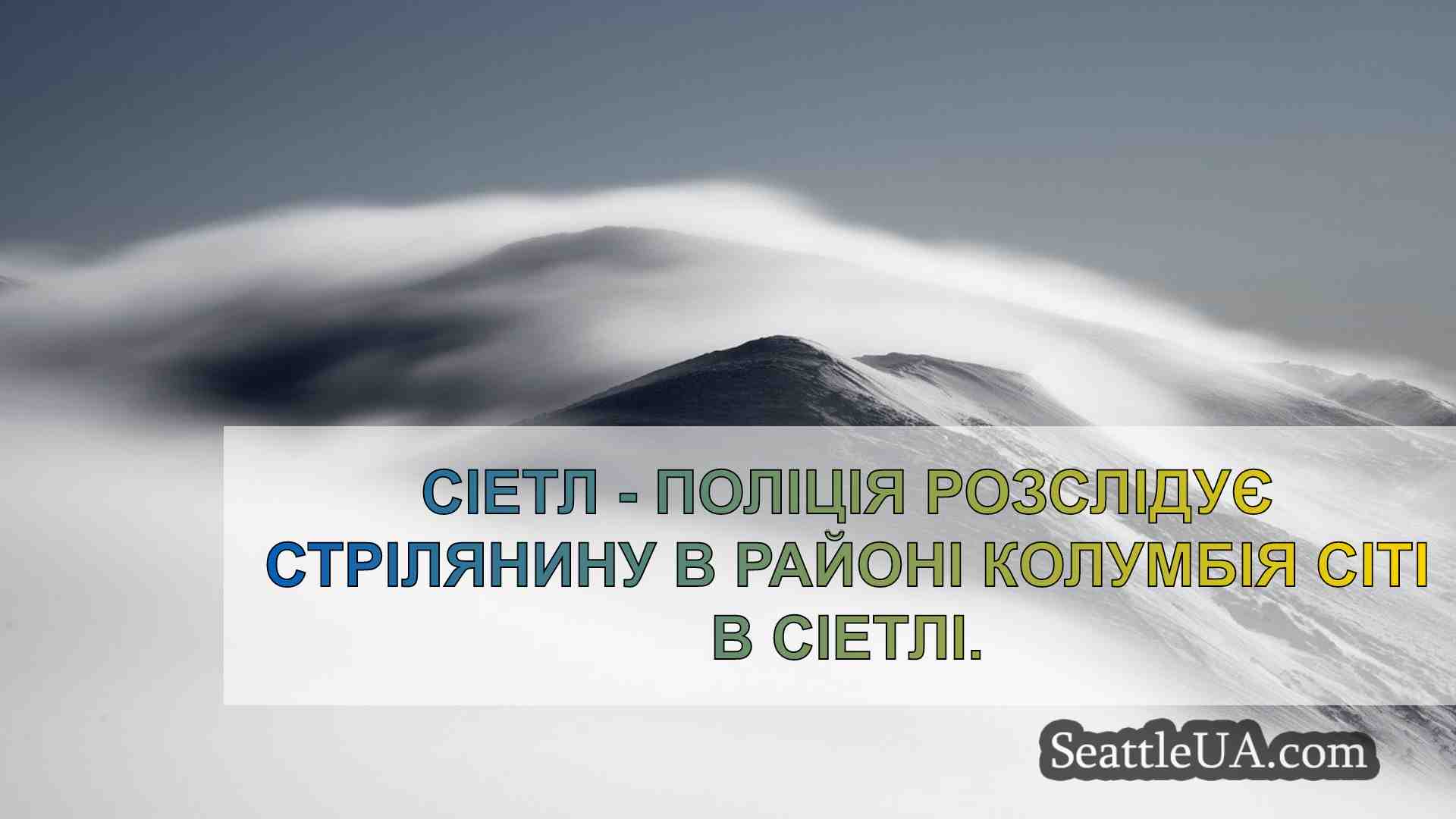 Поліція розслідує стрілянину в