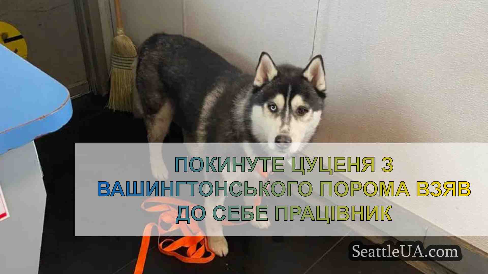 Новини Сіетла SeattleUA