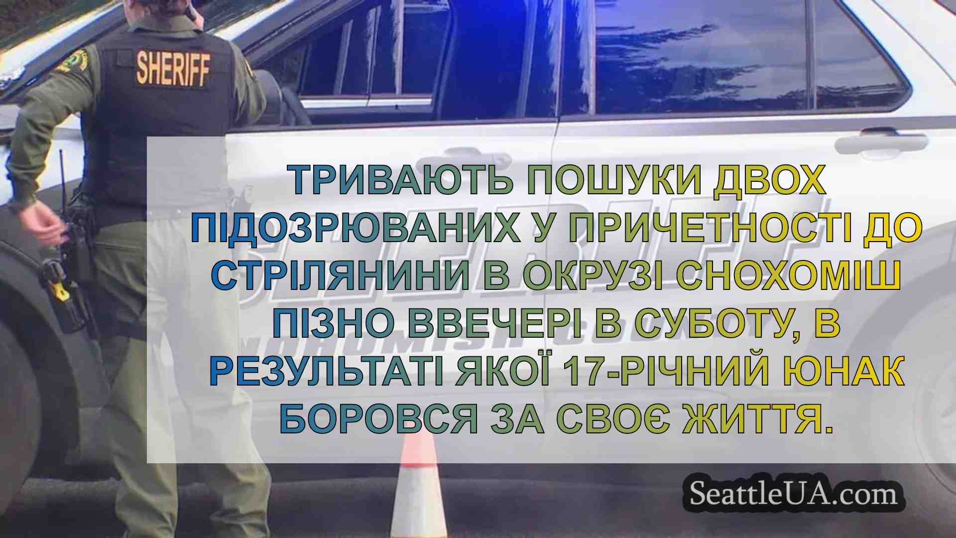 Підліток бореться за життя після