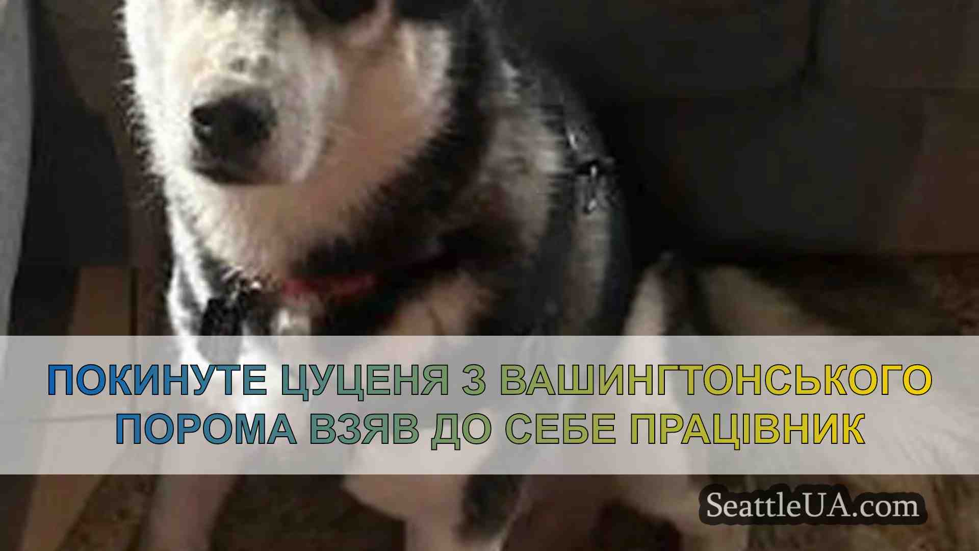 Новини Сіетла SeattleUA