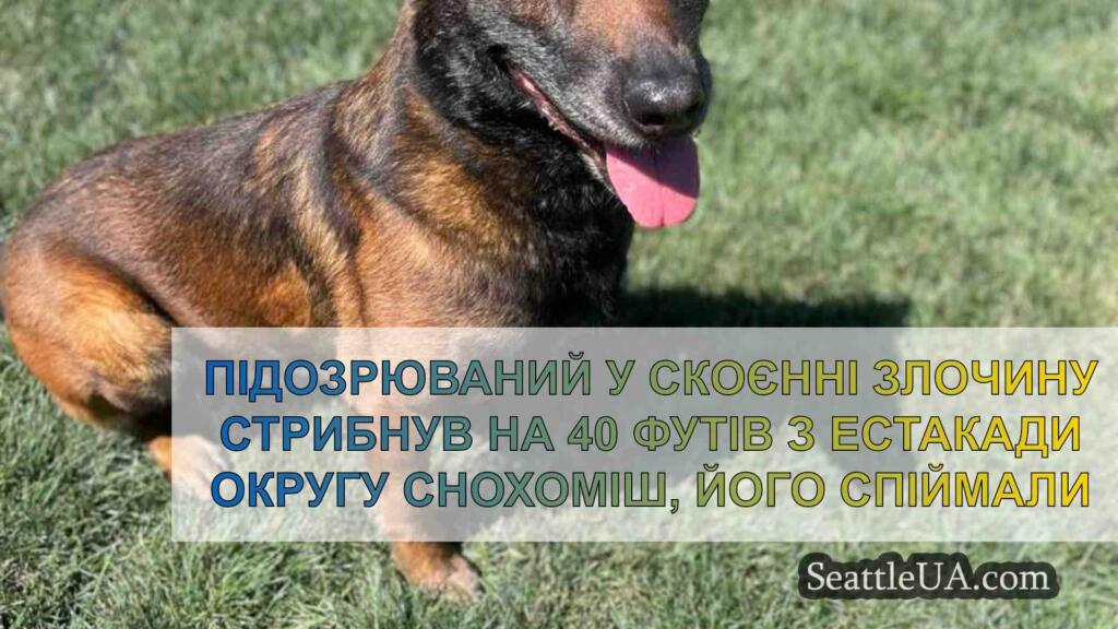 Підозрюваний у скоєнні злочину стрибнув