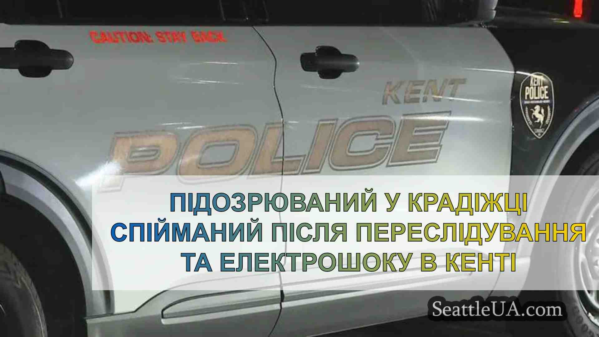 Підозрюваний у крадіжці спійманий після