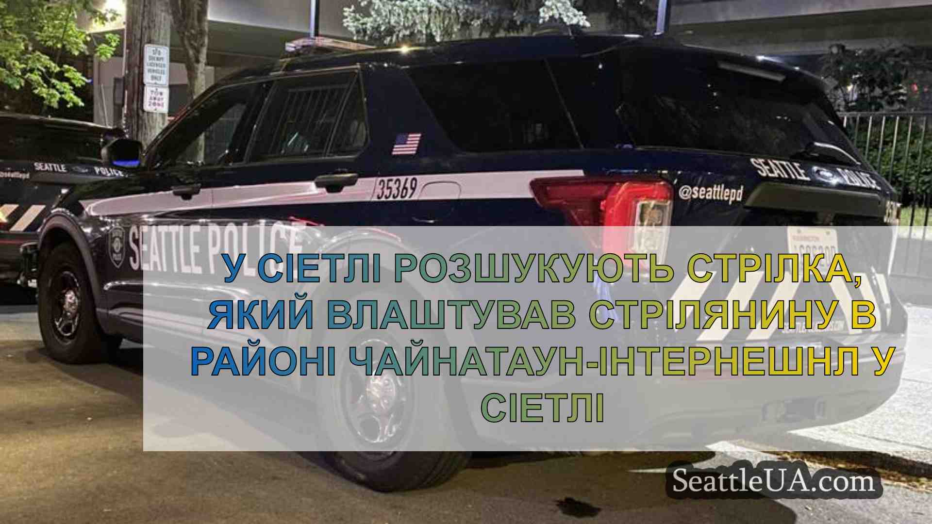 Стрільця розшукують після стрілянини в