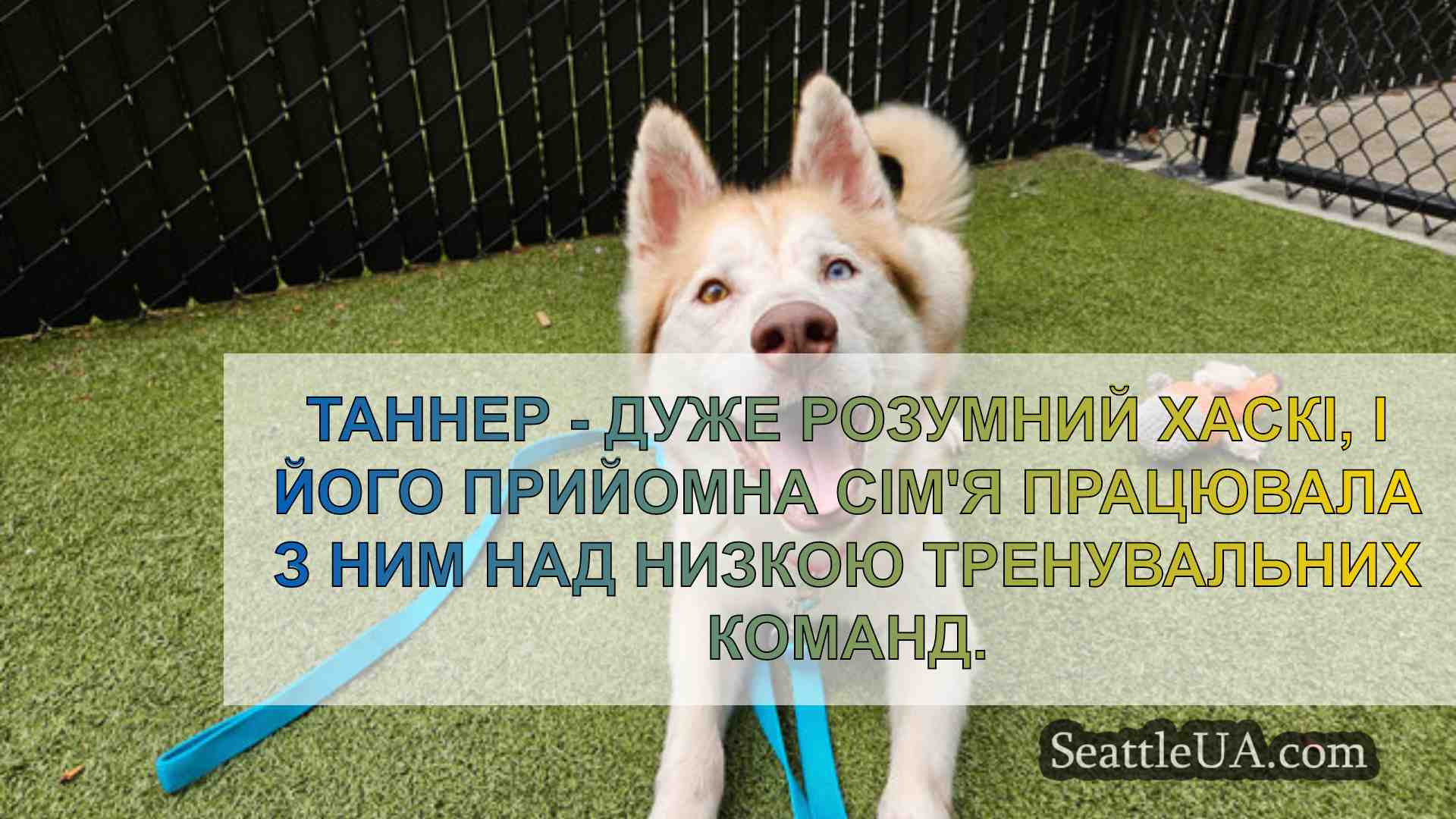 Новини Сіетла SeattleUA