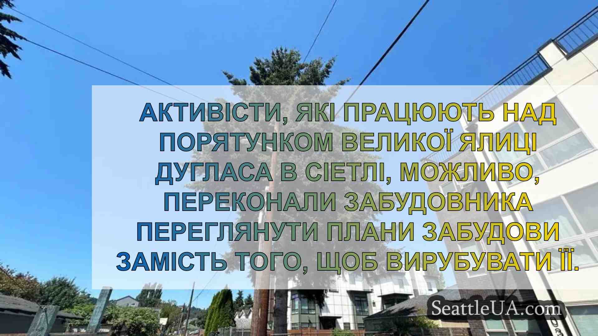 Забудовник у Сіетлі може змінити проект