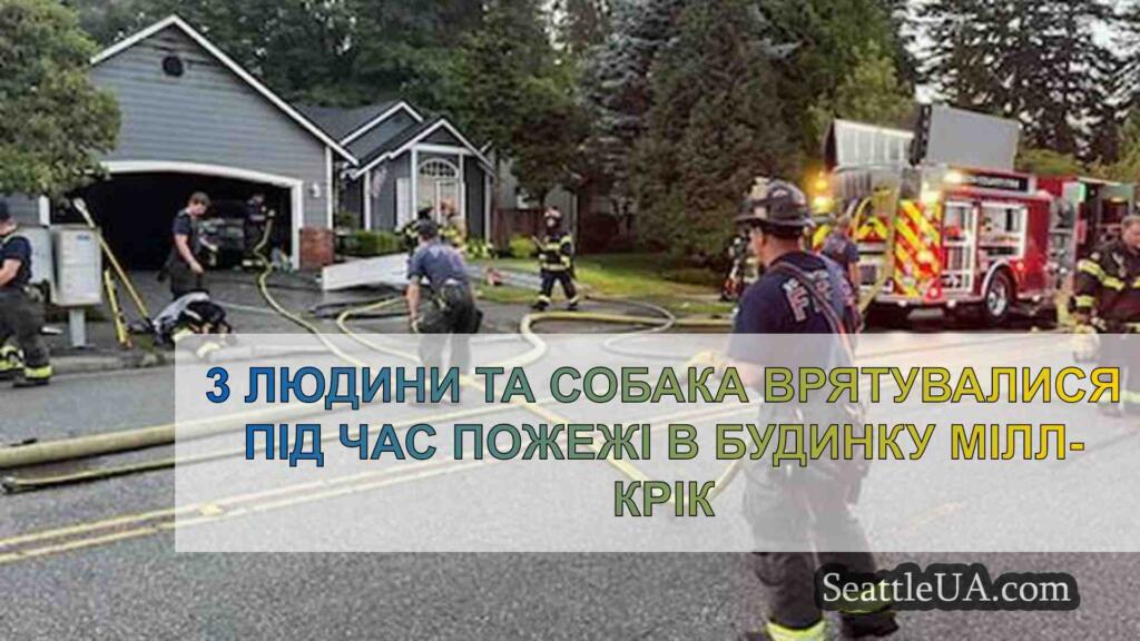 3 людини та собака врятувалися під час