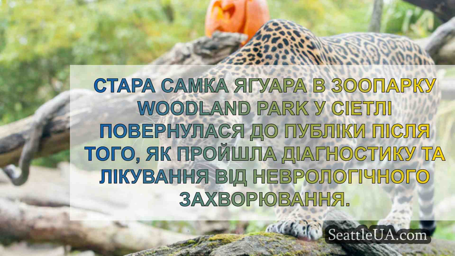 Новини Сіетла SeattleUA