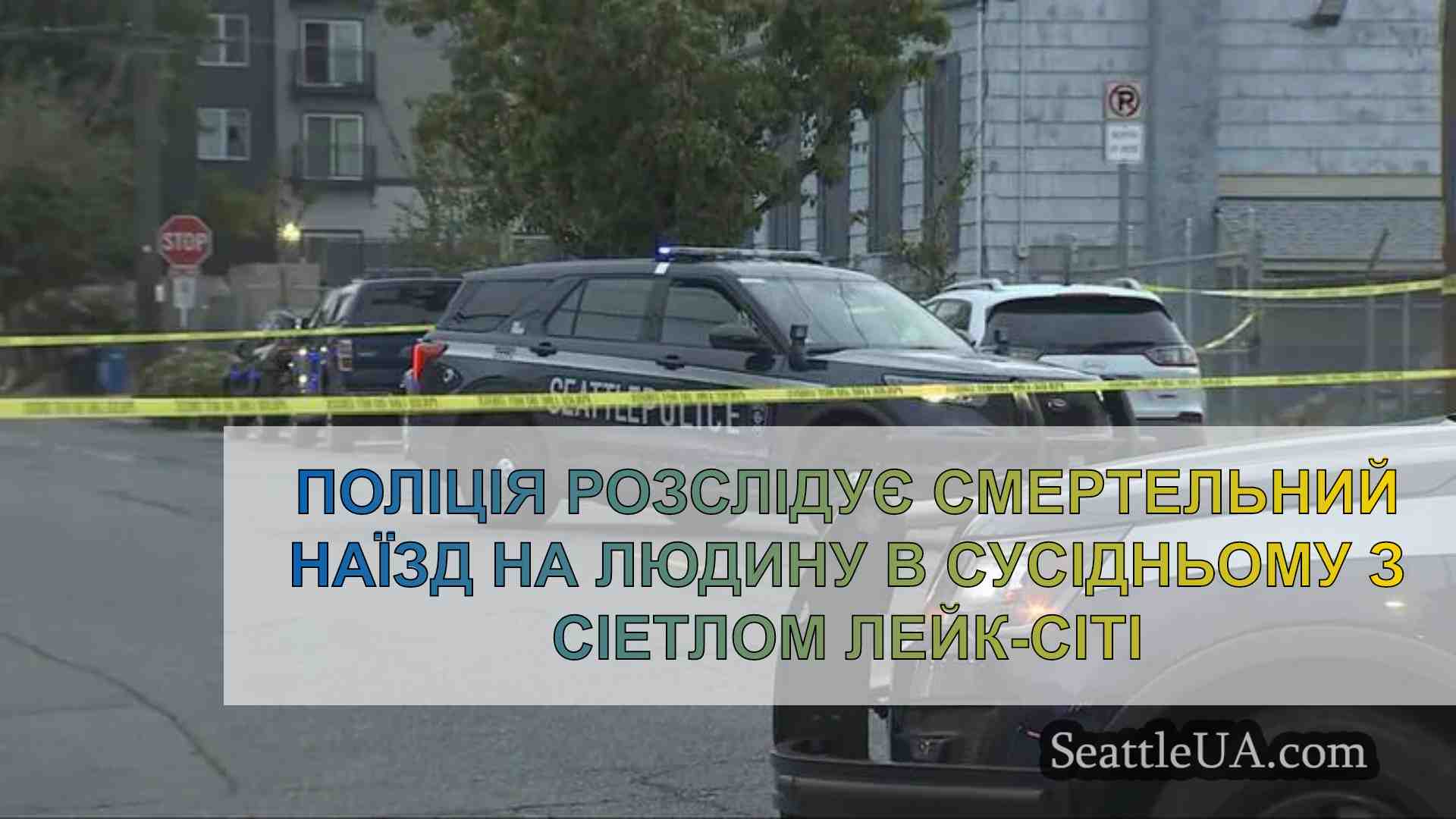 Поліція розслідує смертельний наїзд на