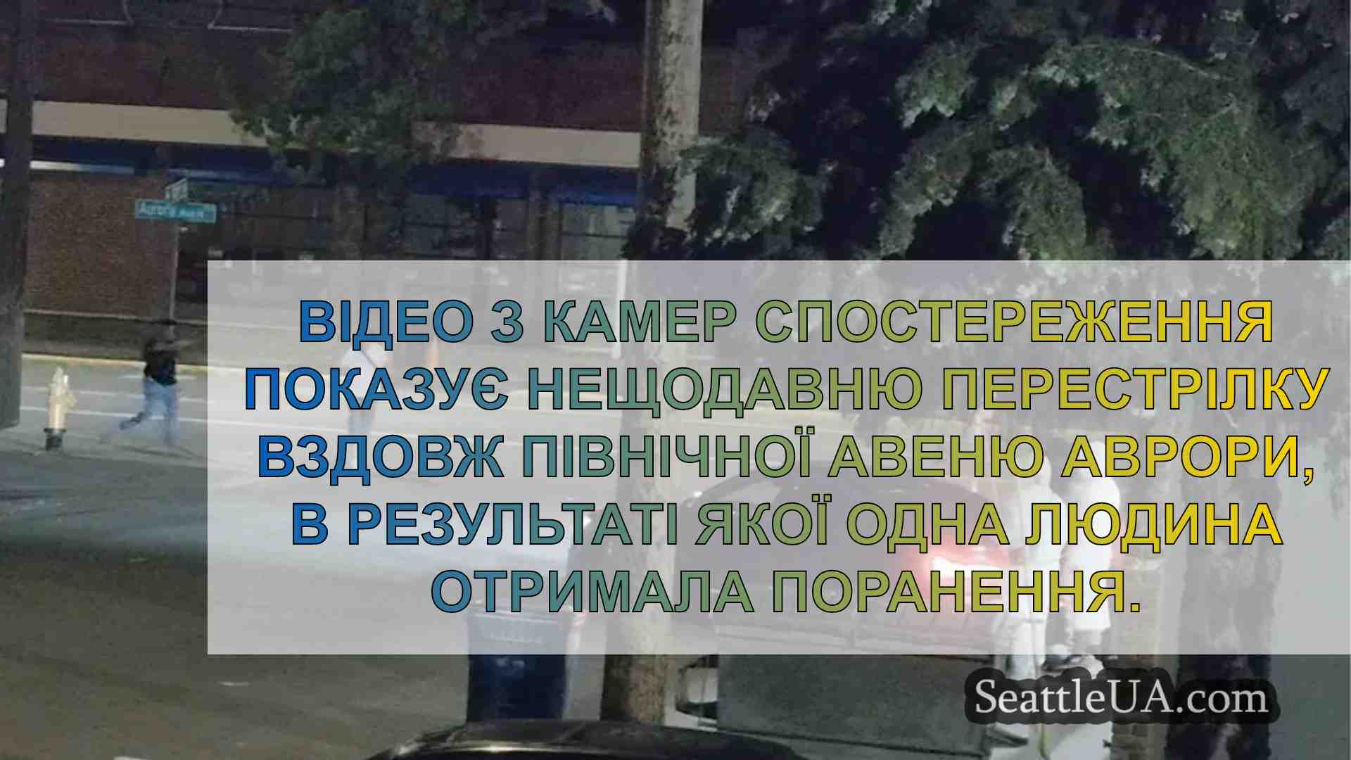 Відео з камер спостереження зафіксувало