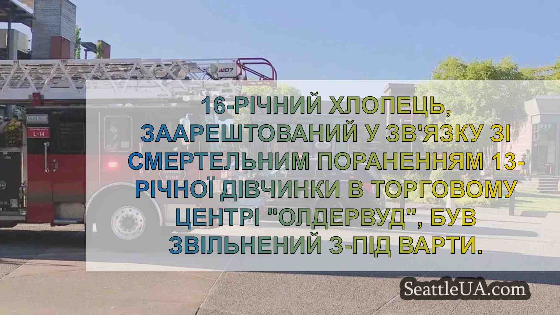 16-річного підлітка, заарештованого у