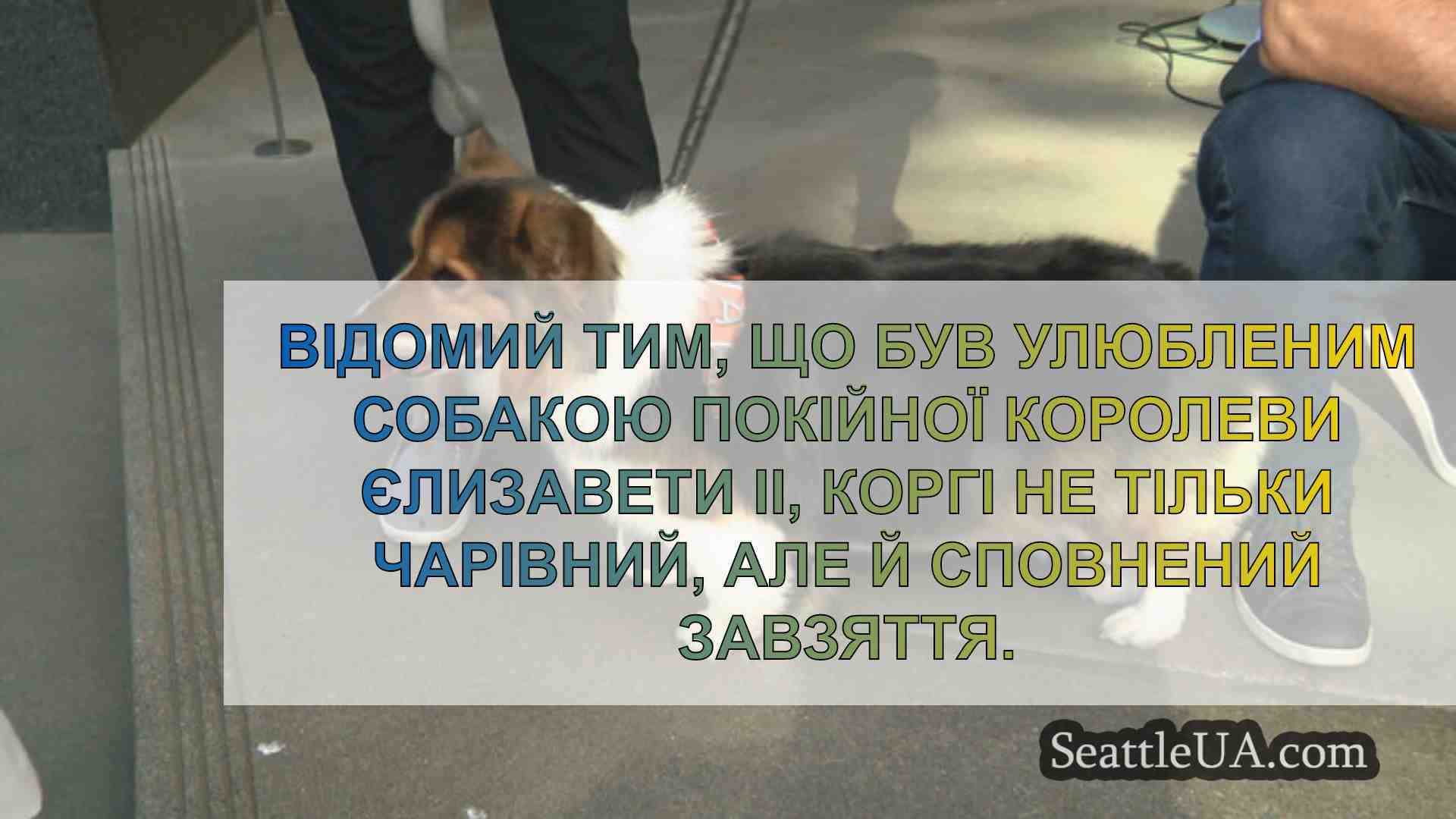 Новини Сіетла SeattleUA