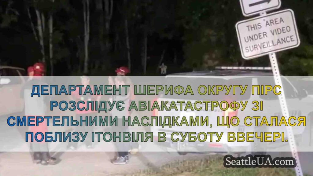 Пілот і пасажир загинули в