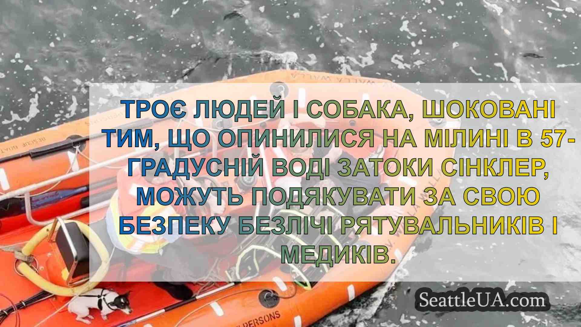 Пасажири порома стали свідками