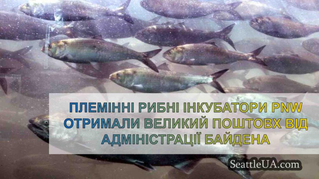 Племінні рибні інкубатори PNW отримали