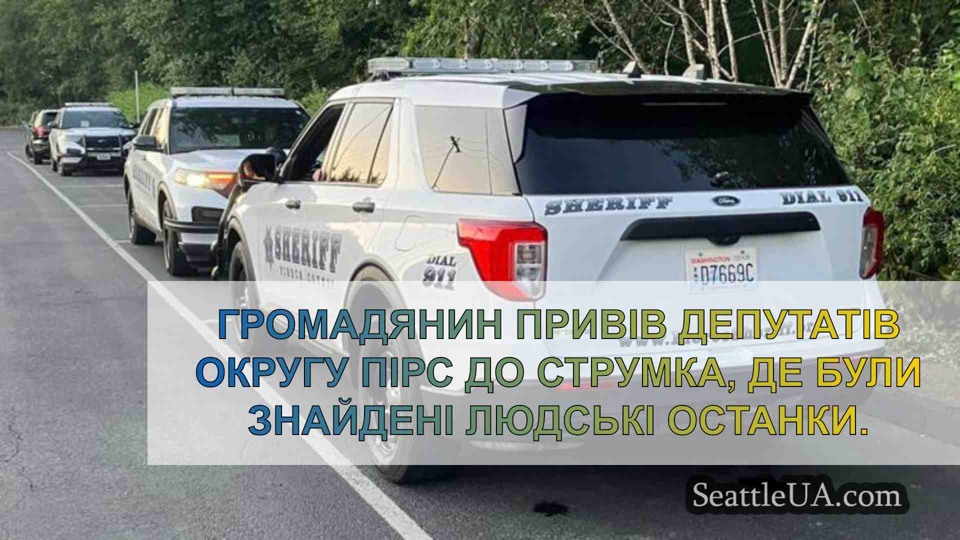 Людські останки знайдено вздовж струмка