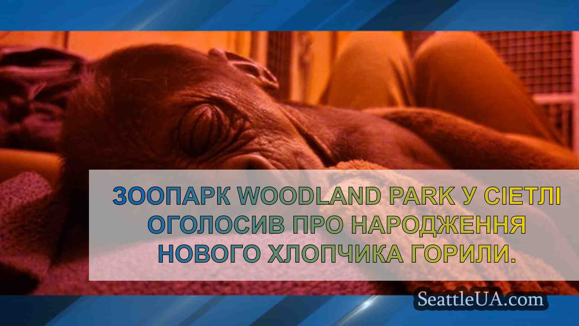 Новини Сіетла SeattleUA